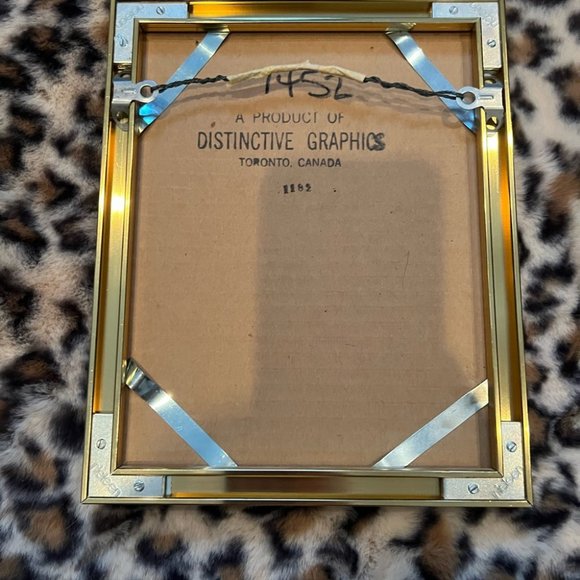 Aboriginal artwork framed gold birds native style art Toronto distinctive art - Picture 3 of 5